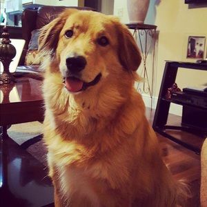 Meet your Posher, Jenny